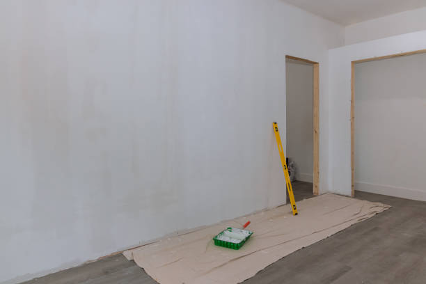 Best Drywall Repair  in Lewistown, IL